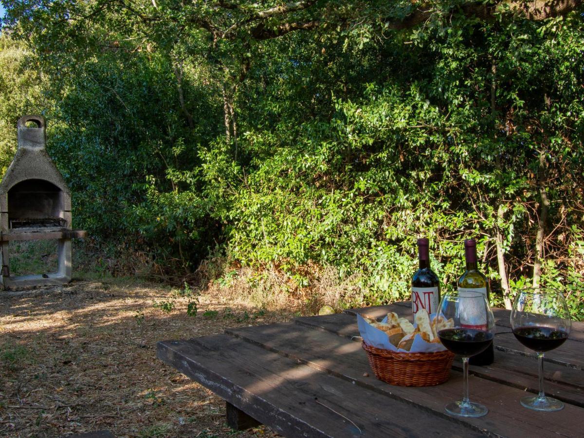 Holiday Home Merlot By Interhome Cedri Exteriör bild